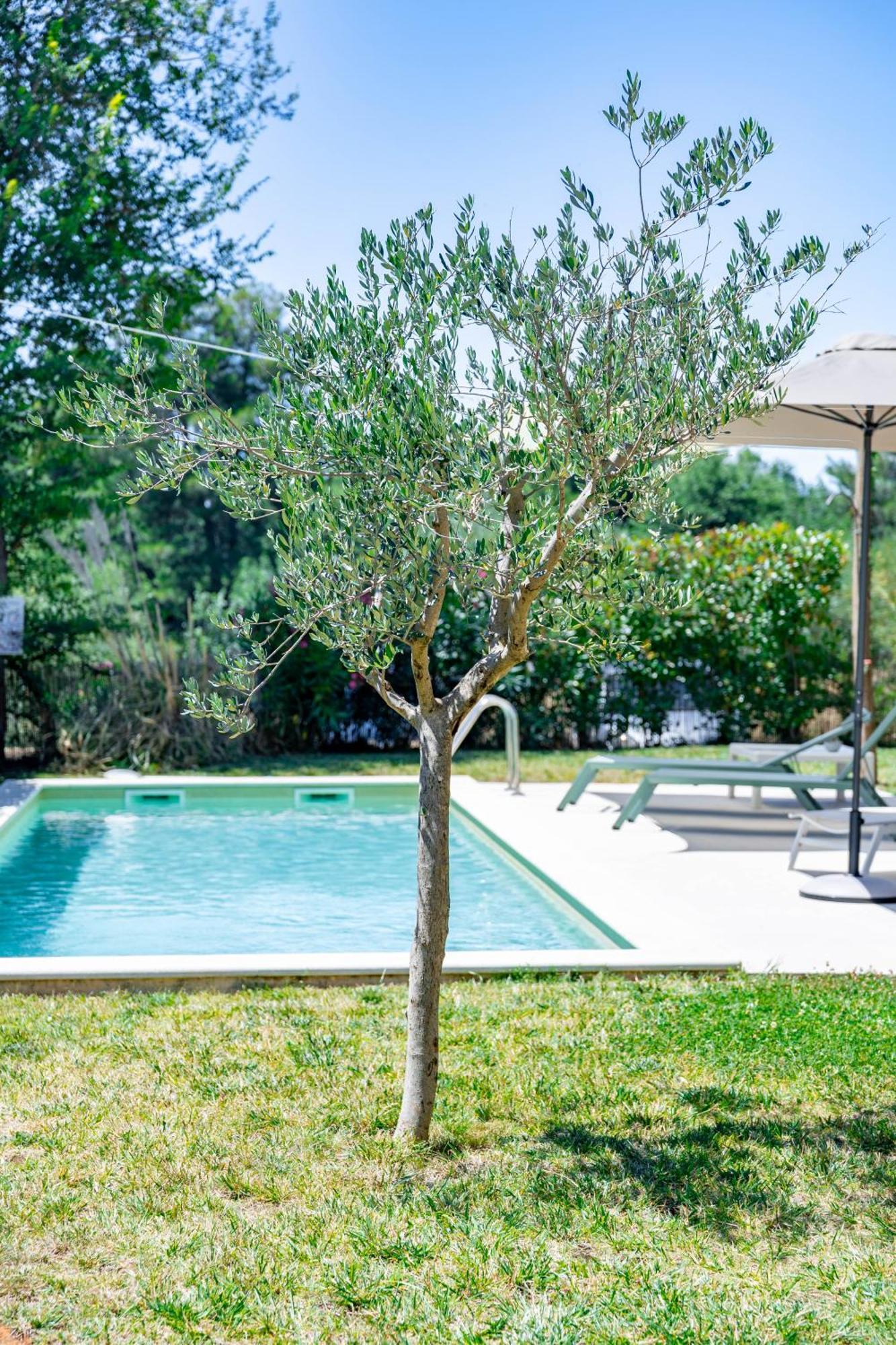Villa Zen - With Pool & Close To The Sea Tar-Vabriga Kültér fotó